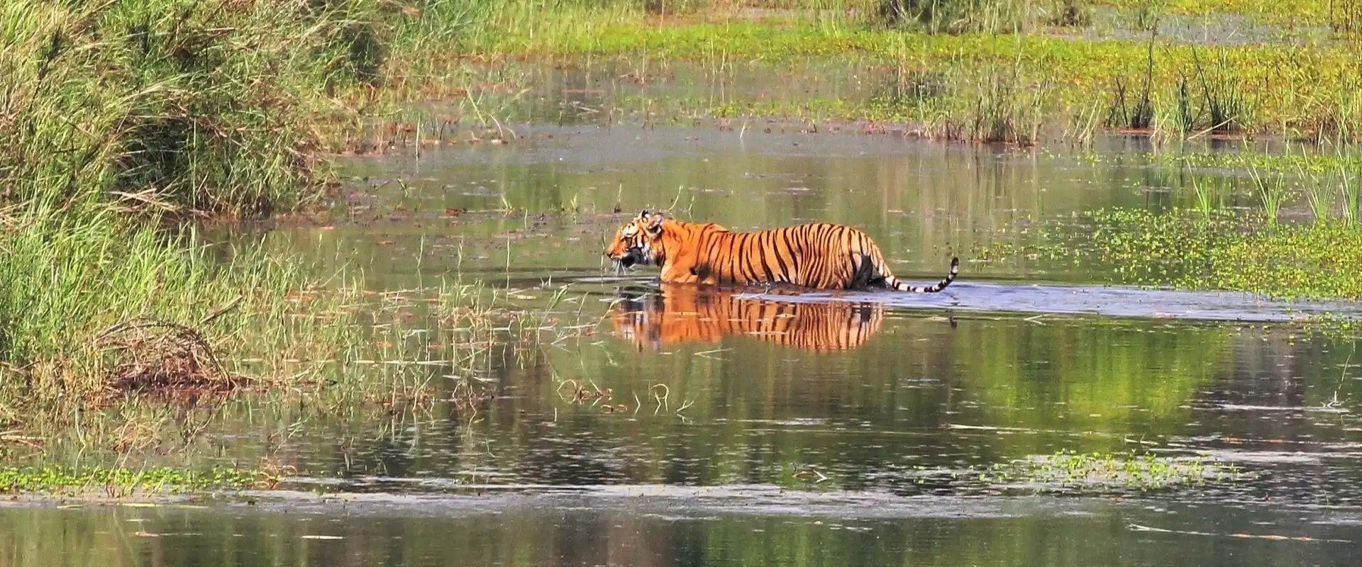 Bardiya National Park