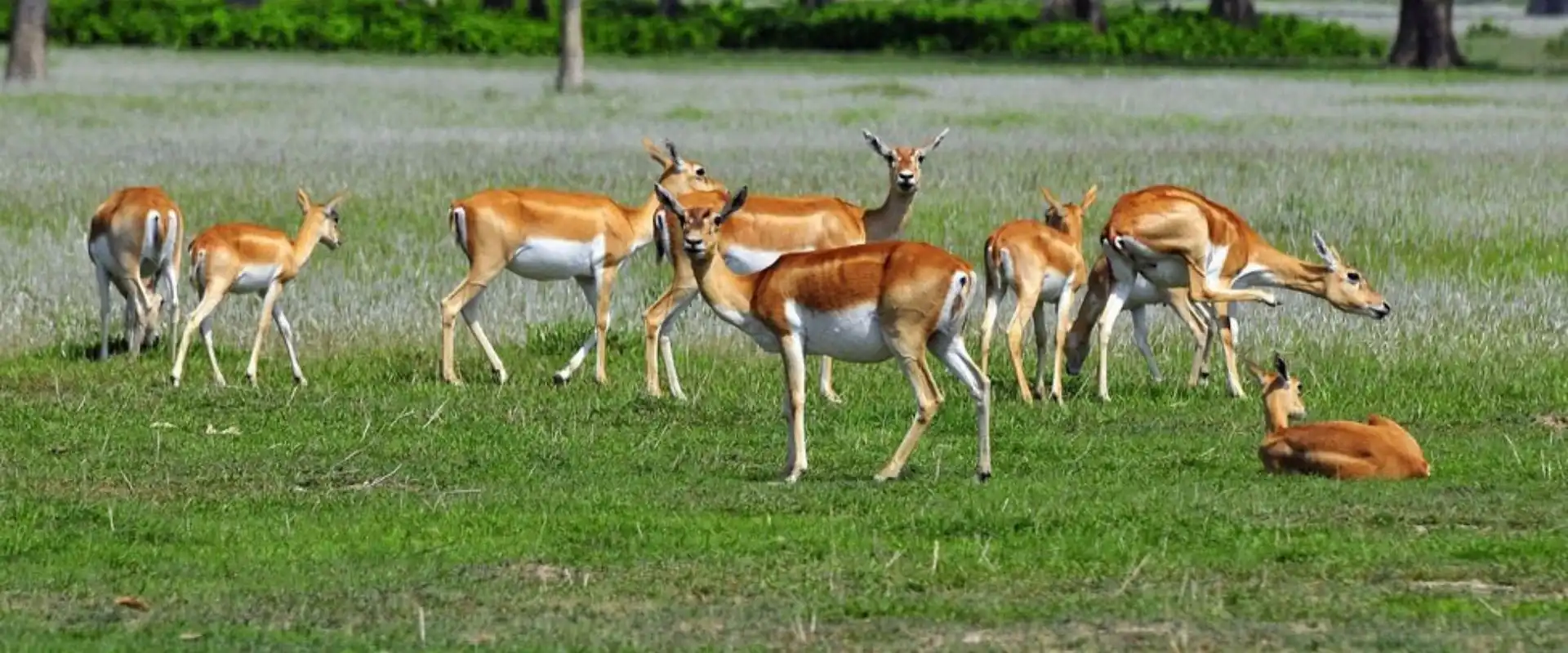 Parsa National Park