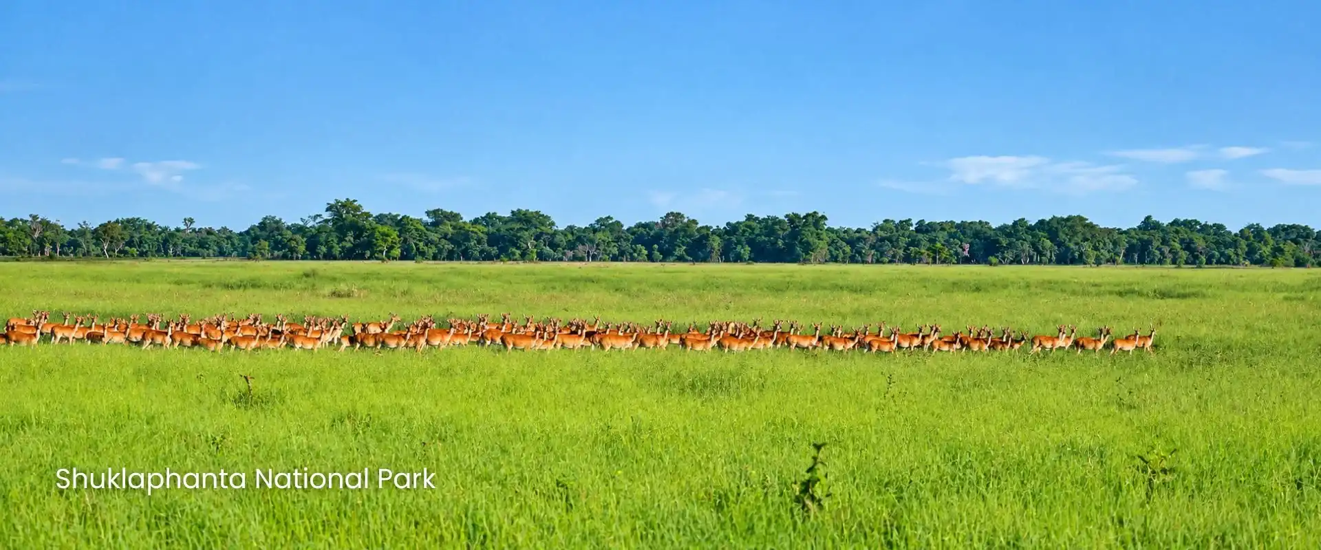 Shuklaphant National Park
