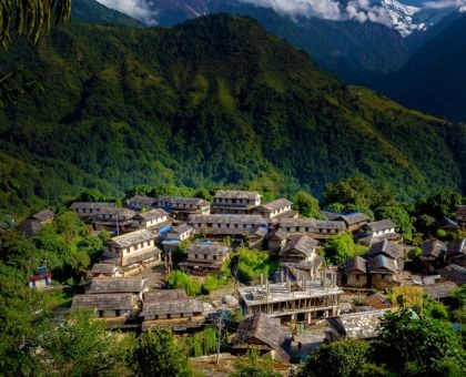 Chitwan Pokhara Ghandruk Tour